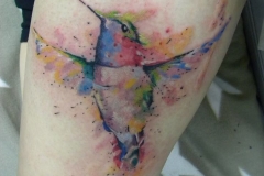 watercolor humminbird